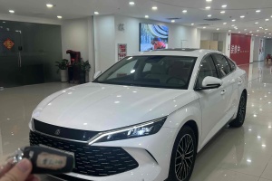 秦L 比亞迪 DM-i 120KM卓越型
