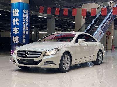 2013年11月 奔馳 奔馳CLS級(進(jìn)口) CLS 300 CGI圖片