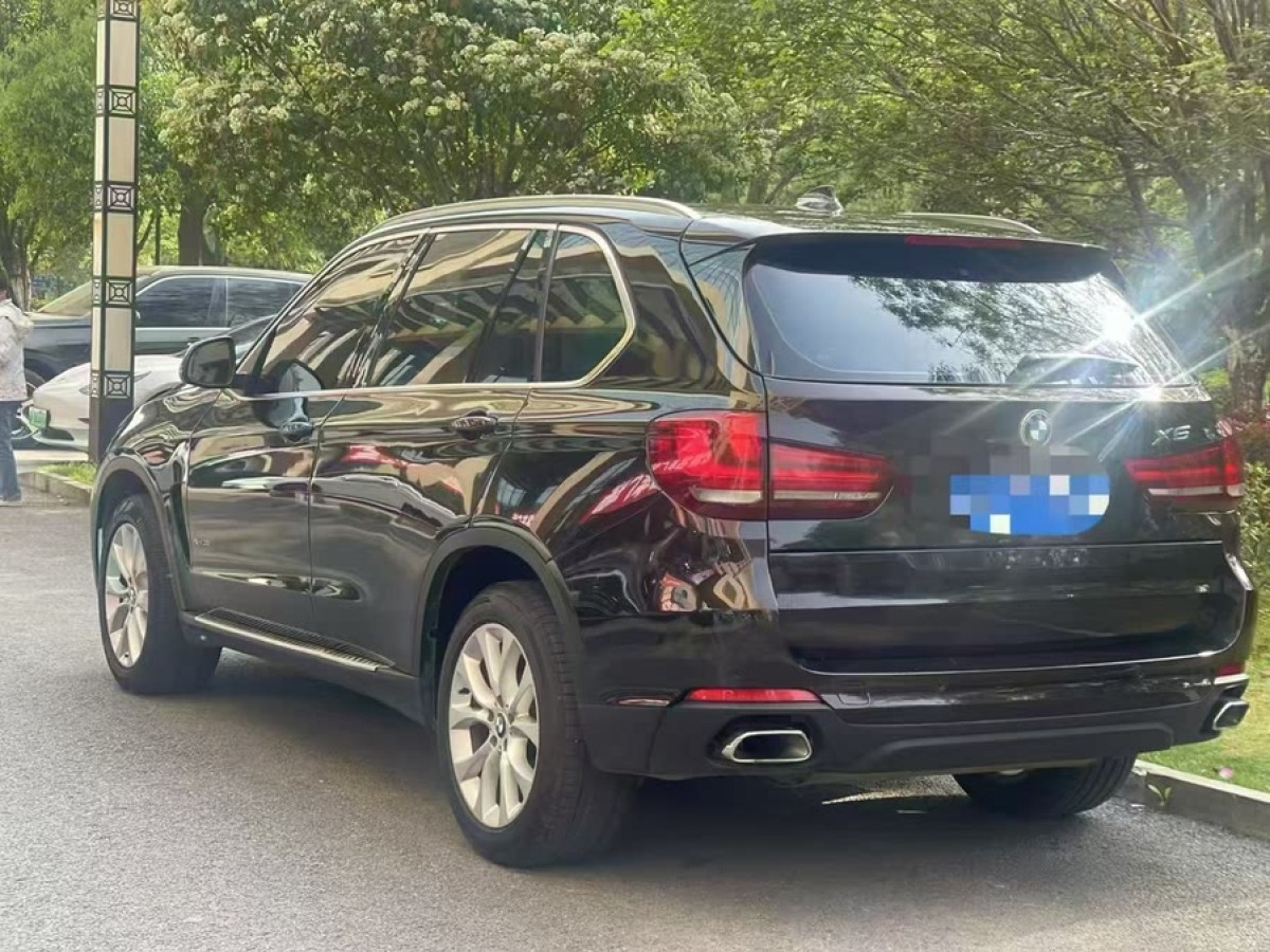寶馬 寶馬X5  2014款 xDrive35i 領(lǐng)先型圖片