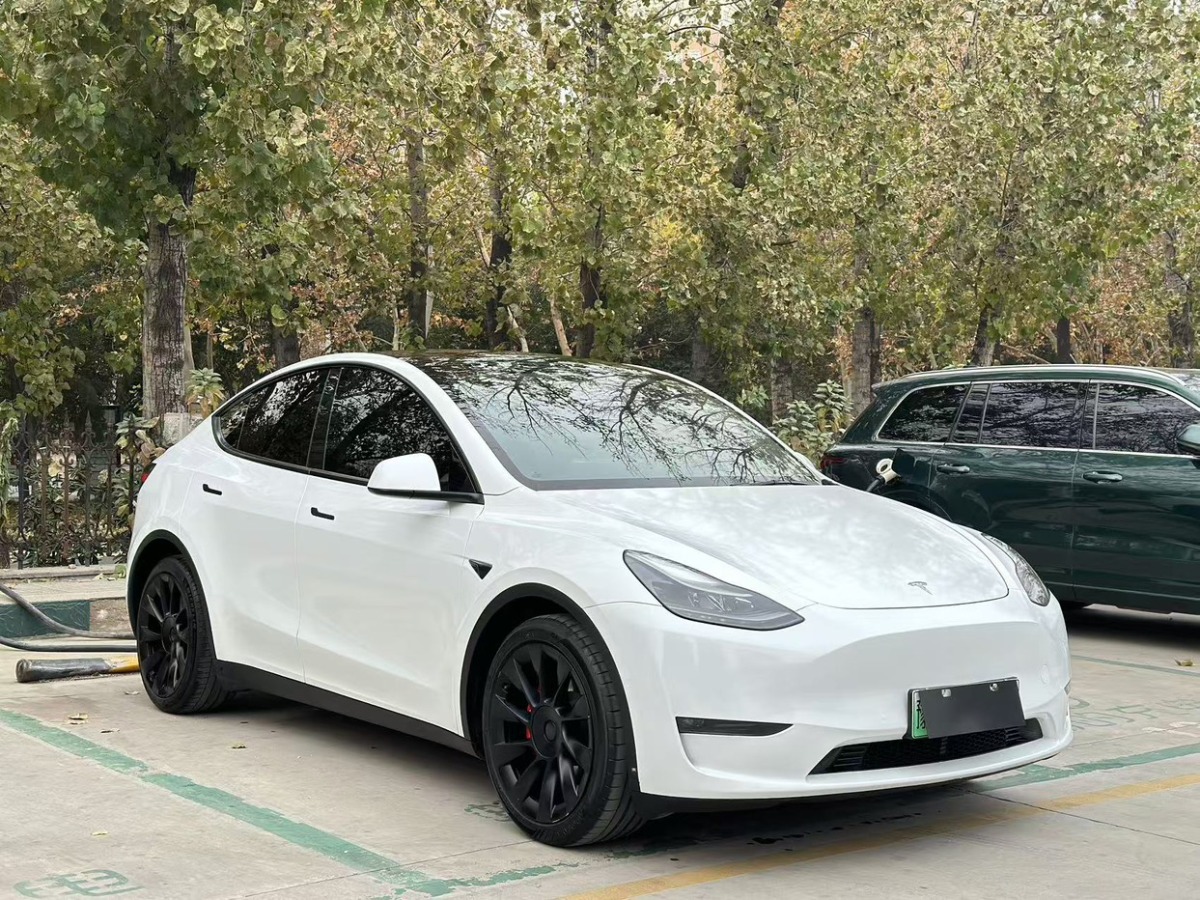 特斯拉 Model 3  2021款 改款 標準續(xù)航后驅升級版圖片