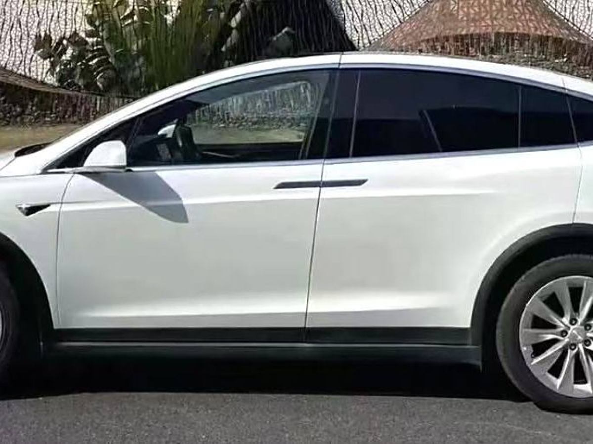 特斯拉 Model X  2016款 Model X 75D圖片