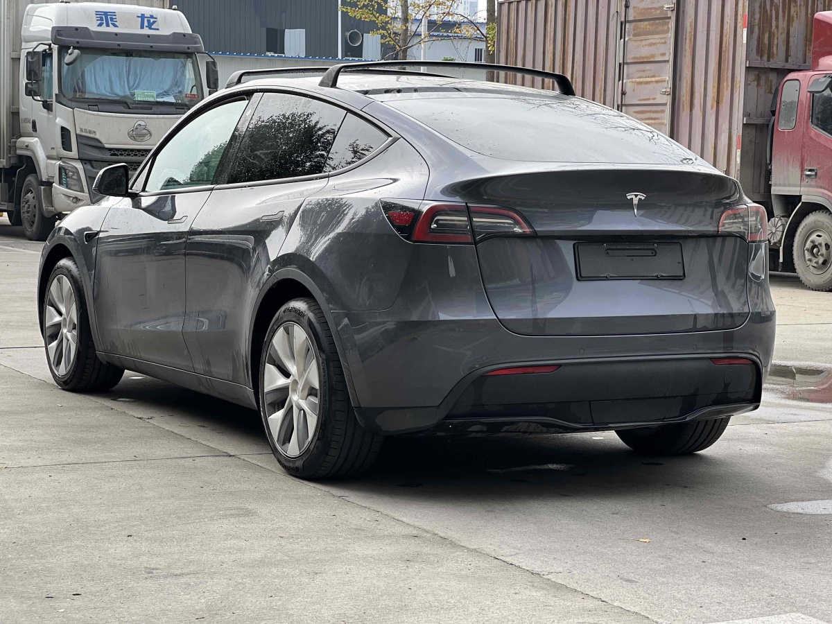 特斯拉 Model Y  2020款 改款 長續(xù)航后輪驅(qū)動版圖片