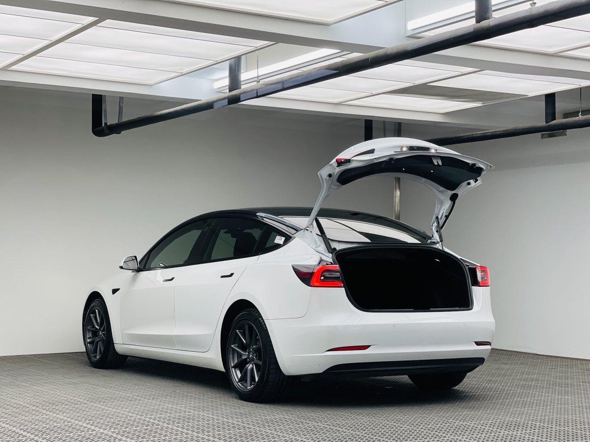 特斯拉 Model 3  2021款 改款 標(biāo)準(zhǔn)續(xù)航后驅(qū)升級版圖片