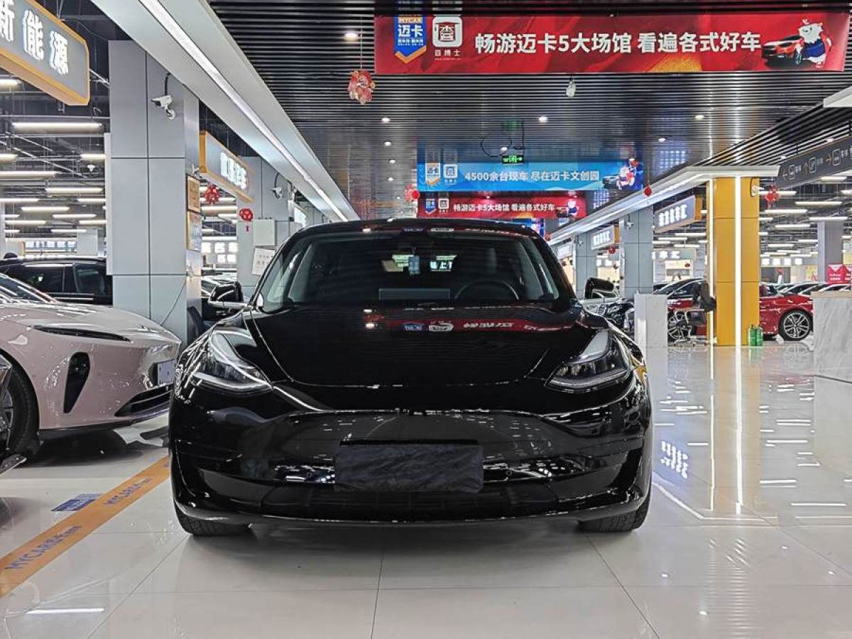 特斯拉 Model 3  2020款 改款 標(biāo)準(zhǔn)續(xù)航后驅(qū)升級(jí)版圖片