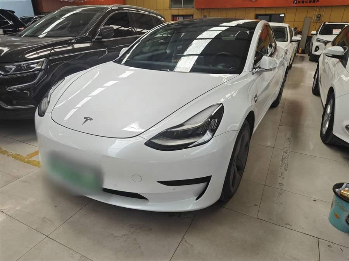 特斯拉 Model 3  2019款 標(biāo)準(zhǔn)續(xù)航后驅(qū)升級(jí)版圖片