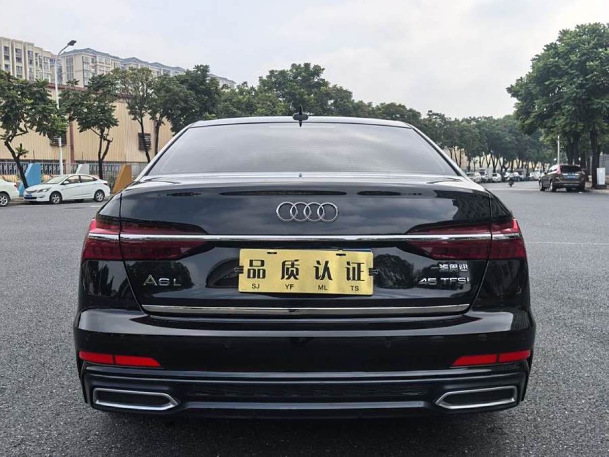 2021年1月奧迪 奧迪A6L  2021款 45 TFSI 臻選動(dòng)感型