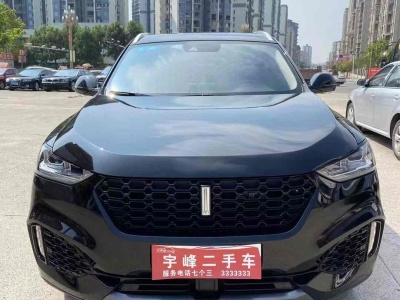 2019年1月 WEY VV6 2.0T 两驱超豪型图片