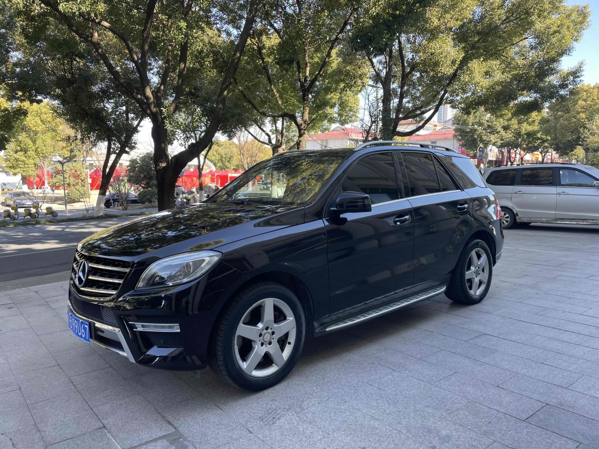 奔馳 奔馳M級(jí)  2012款 ML 350 豪華型圖片