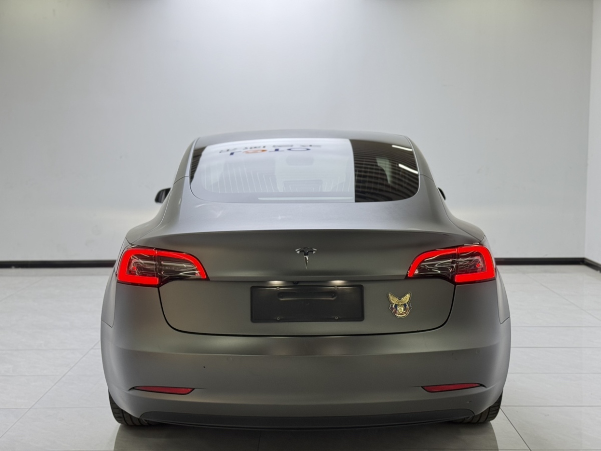 特斯拉 Model 3  2019款 標(biāo)準(zhǔn)續(xù)航后驅(qū)升級(jí)版圖片