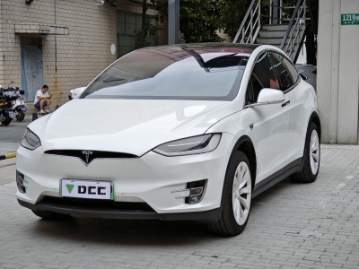 2020年4月 特斯拉 Model X Model X 75D图片