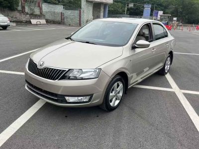 2014年1月 斯柯達(dá) 昕動(dòng) 1.6L 自動(dòng)致享版圖片
