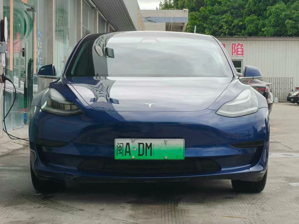 特斯拉 Model X  2020款 Performance 高性能版圖片