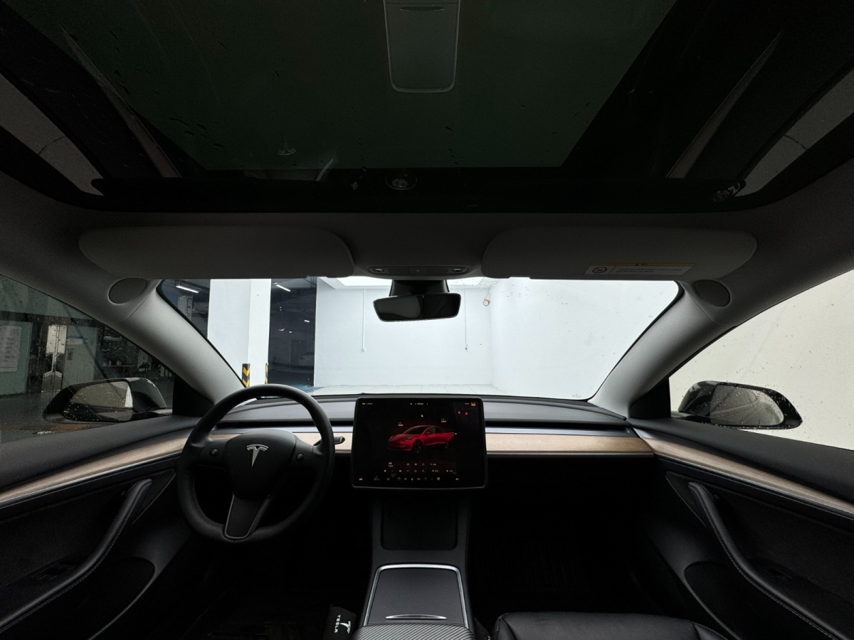 特斯拉 Model 3  2019款 Performance高性能全輪驅(qū)動(dòng)版圖片