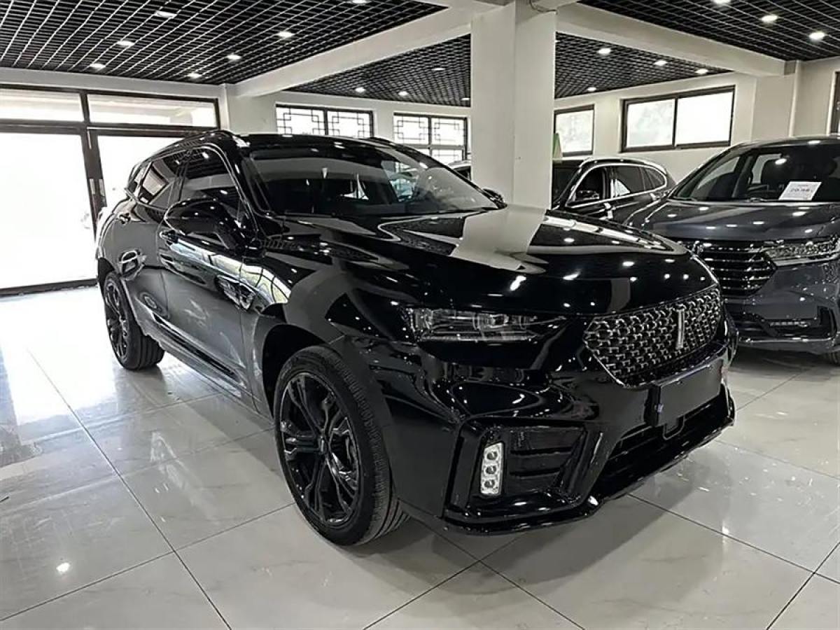 WEY VV7  2019款  升級(jí)款 2.0T 豪華型 國(guó)VI圖片