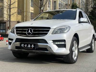 2013年2月 奔馳 奔馳M級(進口) ML 350 動感型圖片