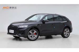 奧迪Q5L Sportback 奧迪 40 TFSI 冰雪運(yùn)動版