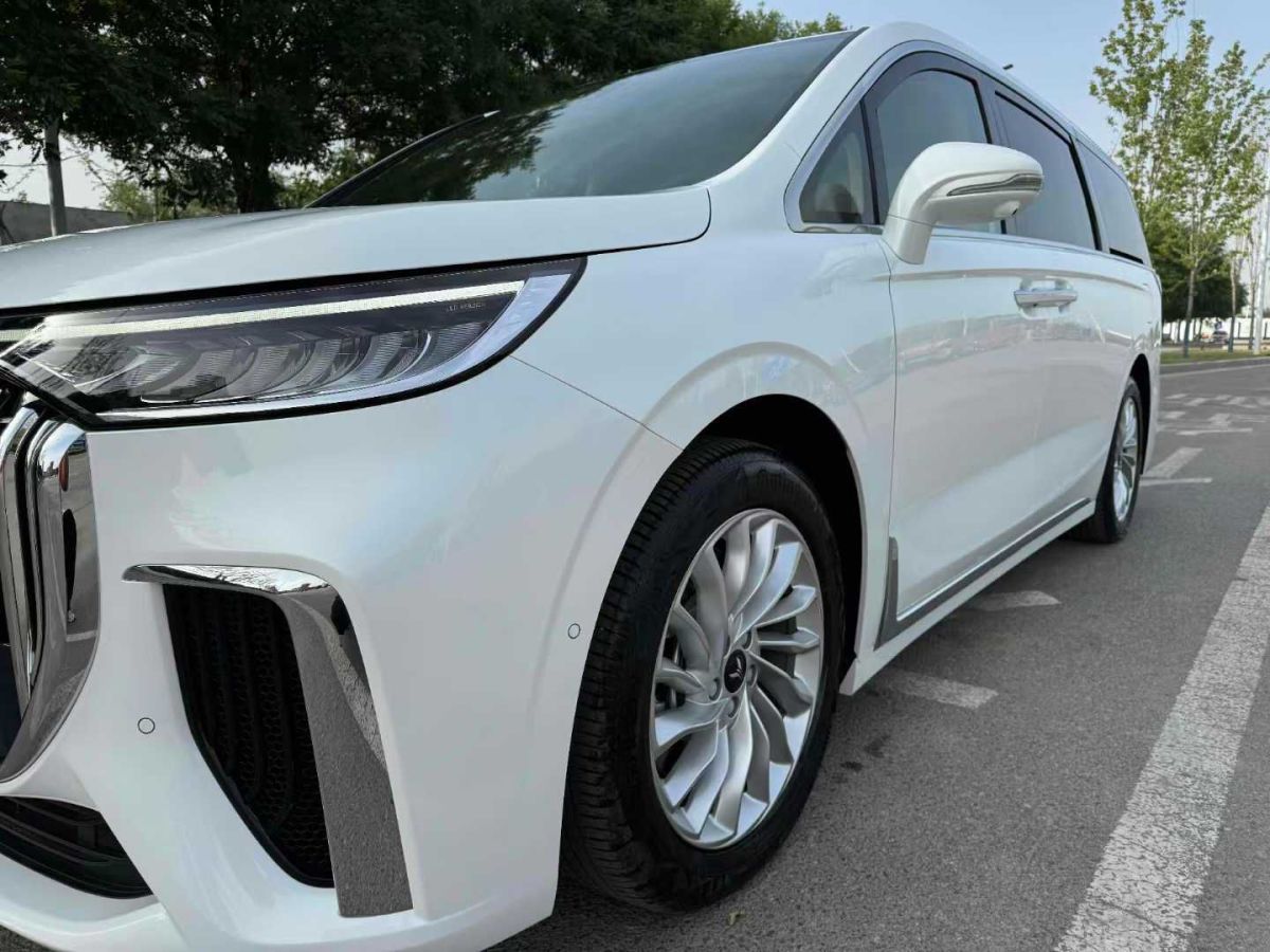 嵐圖 夢(mèng)想家  2024款 EV 超長(zhǎng)續(xù)航卓越版圖片