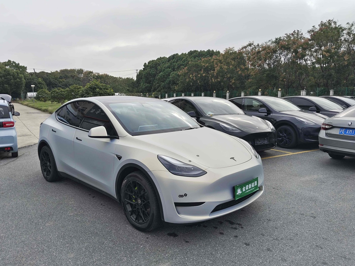 2022年8月特斯拉 Model Y  2022款 后輪驅(qū)動(dòng)版