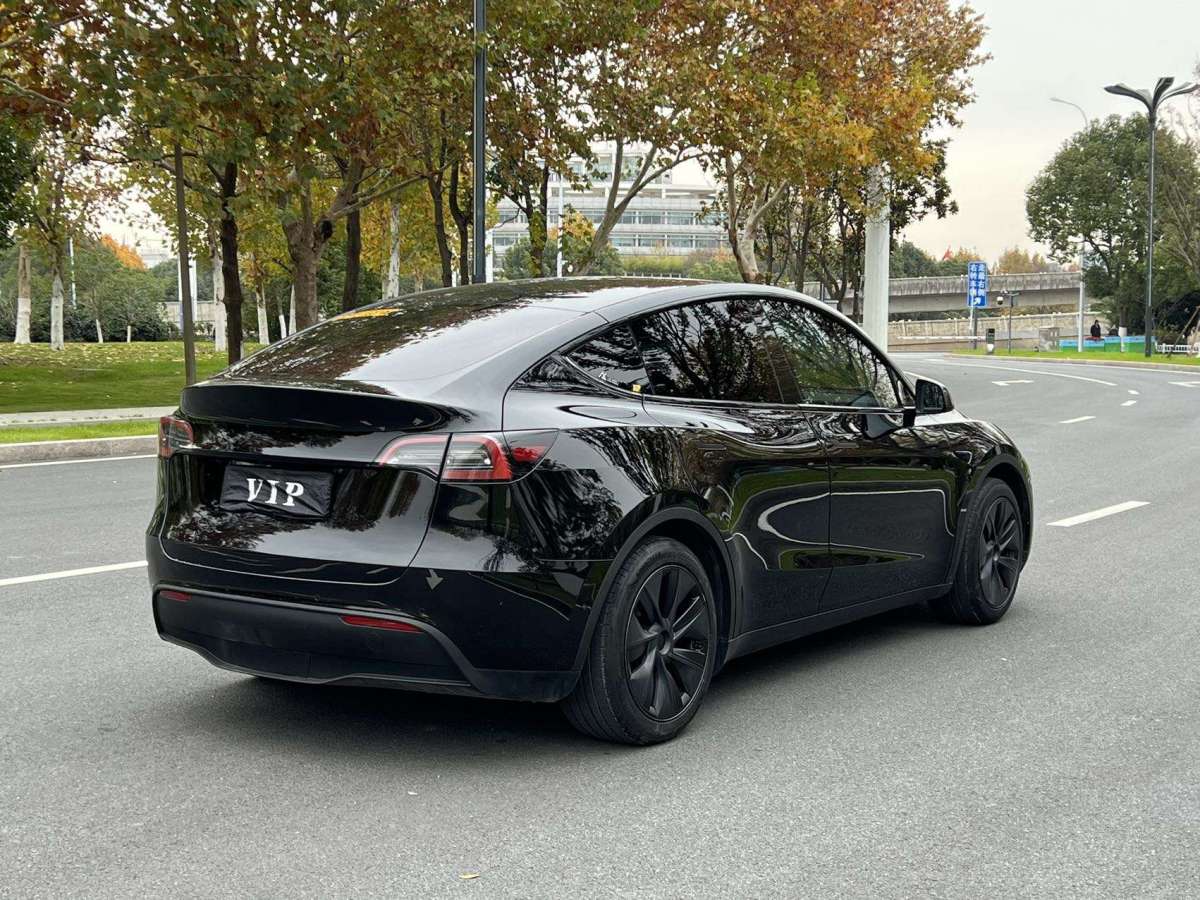 特斯拉 Model Y  2022款 后驅(qū)版圖片