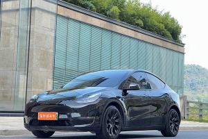 Model Y 特斯拉 改款 长续航全轮驱动版