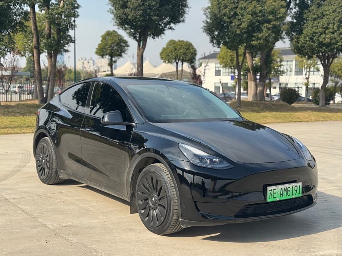 特斯拉 Model 3  2020款 改款 長續(xù)航后輪驅動版圖片