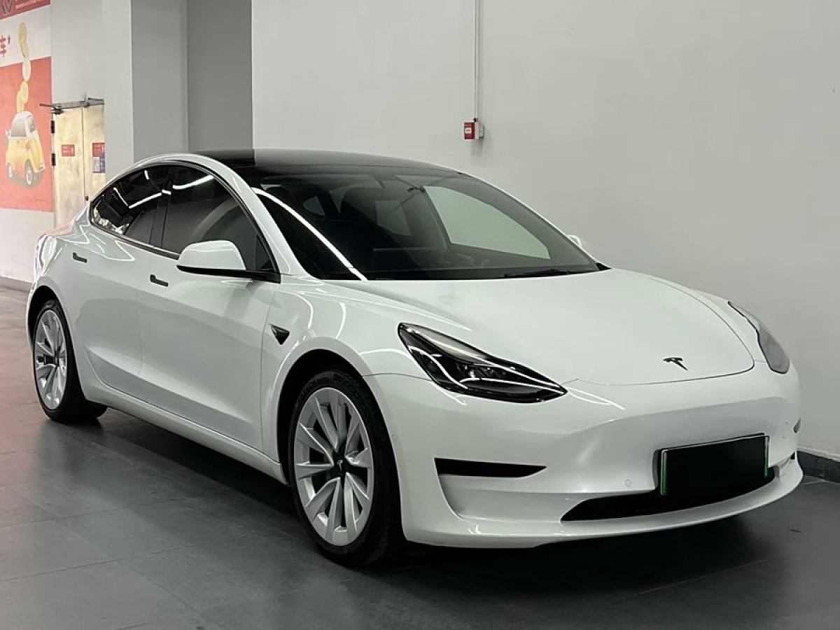 特斯拉 Model 3  2021款 改款 標(biāo)準(zhǔn)續(xù)航后驅(qū)升級(jí)版圖片