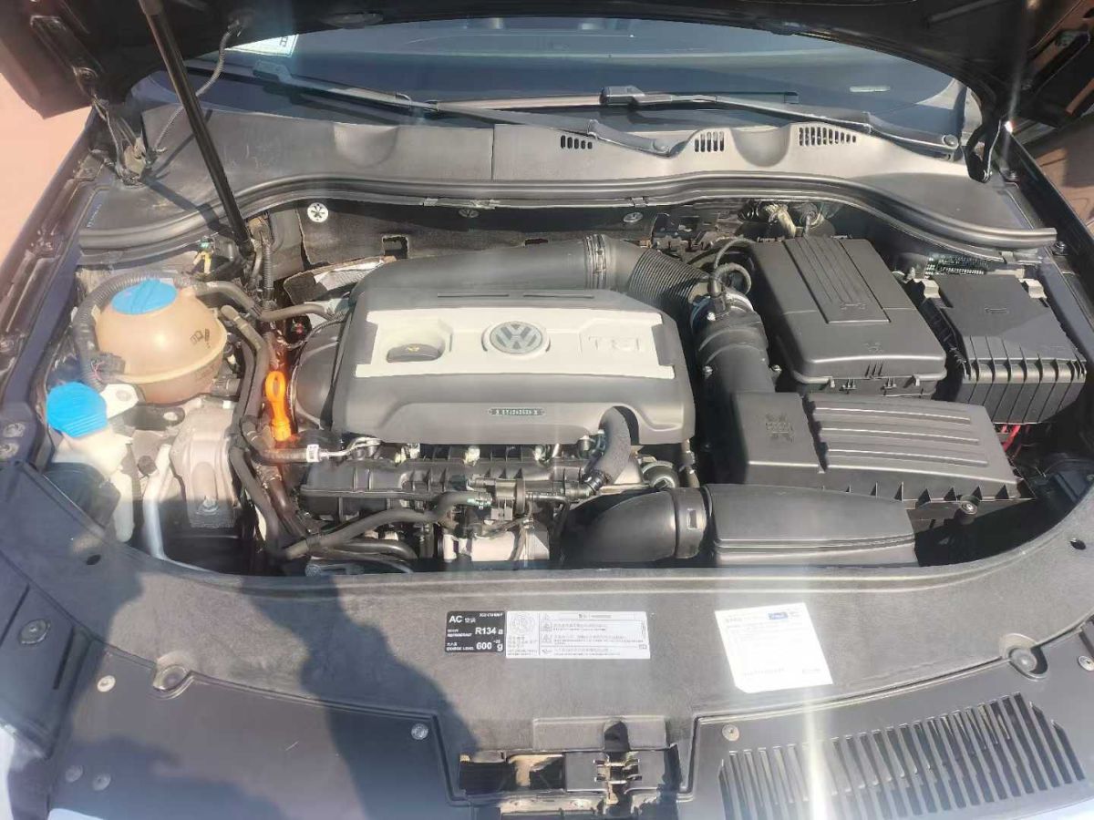 大眾 邁騰  2011款 1.4TSI DSG標(biāo)準(zhǔn)型圖片