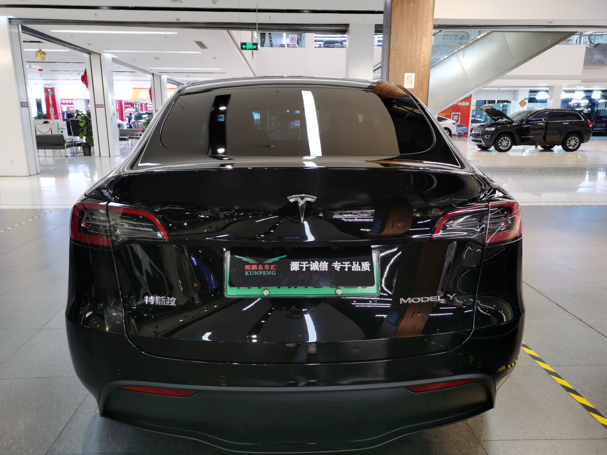 特斯拉 Model Y  2020款 改款 長續(xù)航后輪驅(qū)動版圖片