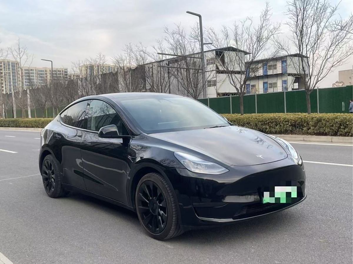 特斯拉 Model 3  2020款 改款 長續(xù)航后輪驅(qū)動版圖片