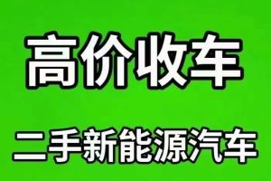 欧拉黑猫 欧拉 2019款 301km 标准版