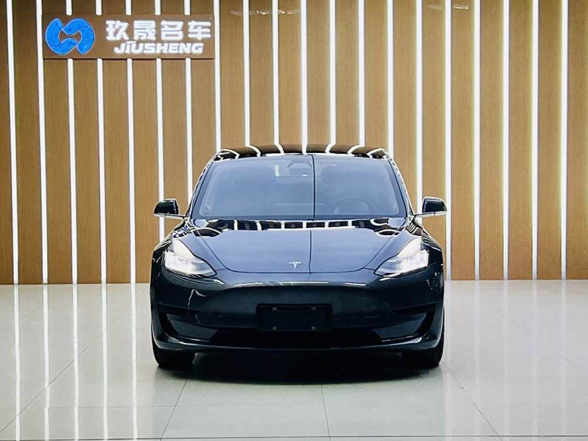 2020年12月特斯拉 Model 3  2020款 改款 標(biāo)準(zhǔn)續(xù)航后驅(qū)升級版