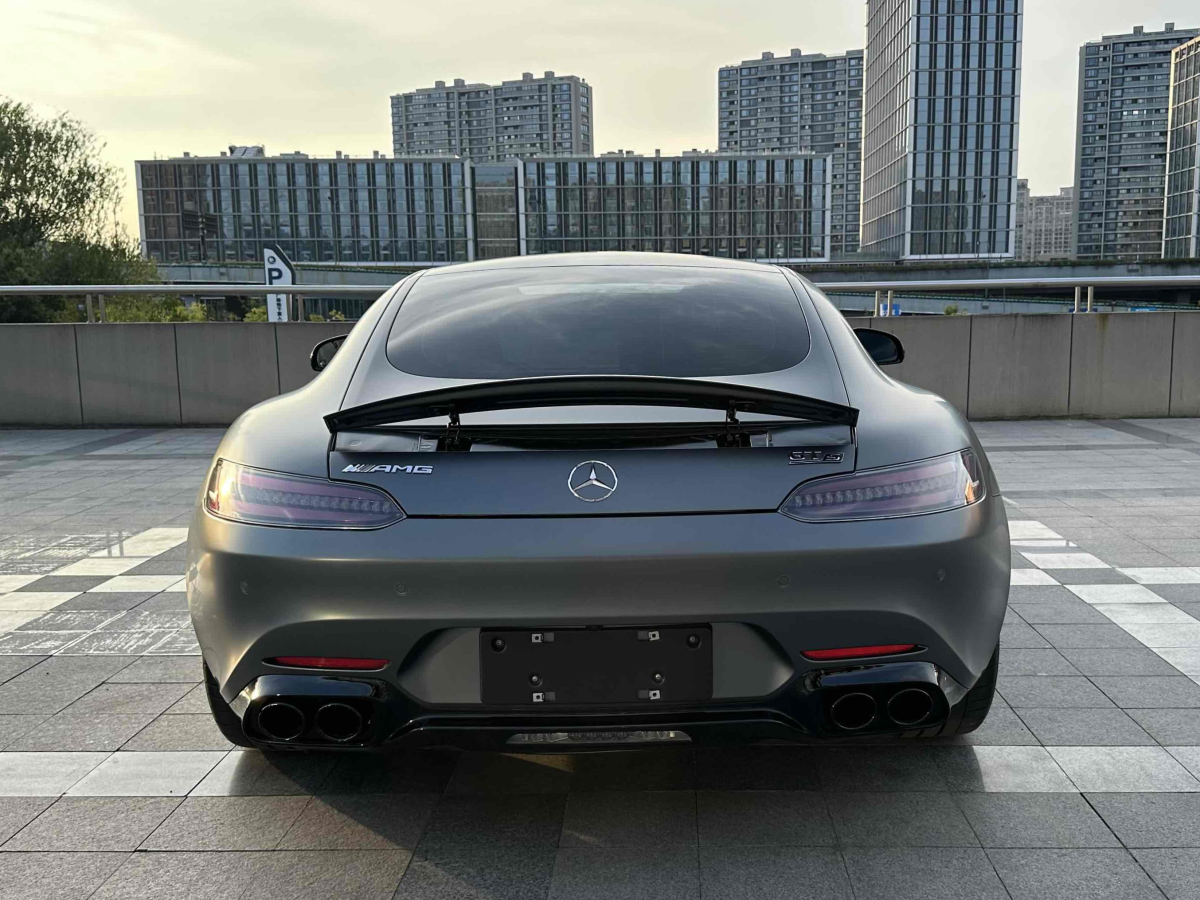 奔馳 奔馳AMG GT  2019款 AMG GT圖片