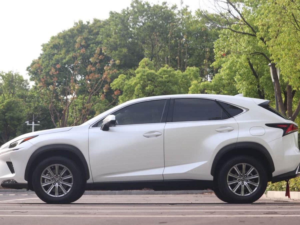 雷克薩斯 NX  2020款 200 前驅(qū) 鋒行版 國(guó)VI圖片