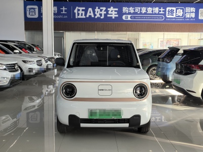 2024年12月 吉利 熊貓mini 200km 耐力熊圖片