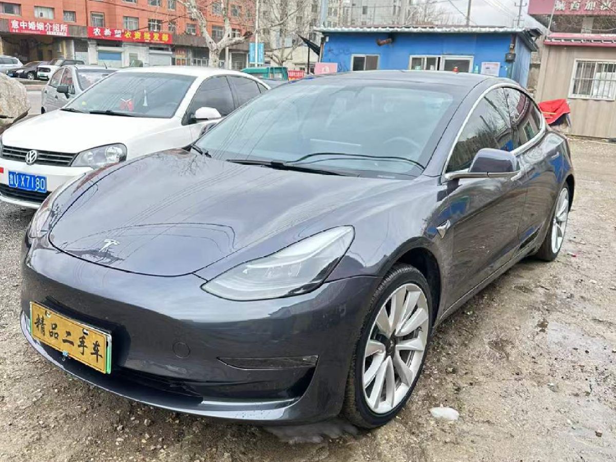 特斯拉 Model 3  2020款 Performance高性能全輪驅(qū)動(dòng)版圖片