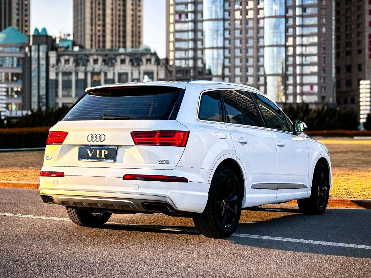 奧迪 奧迪Q7  2019款 55 TFSI 技術(shù)型圖片