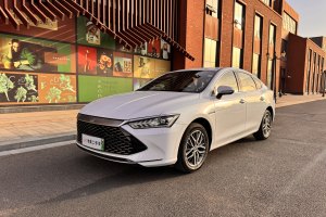 秦PLUS 比亞迪 冠軍版 DM-i 120KM超越型
