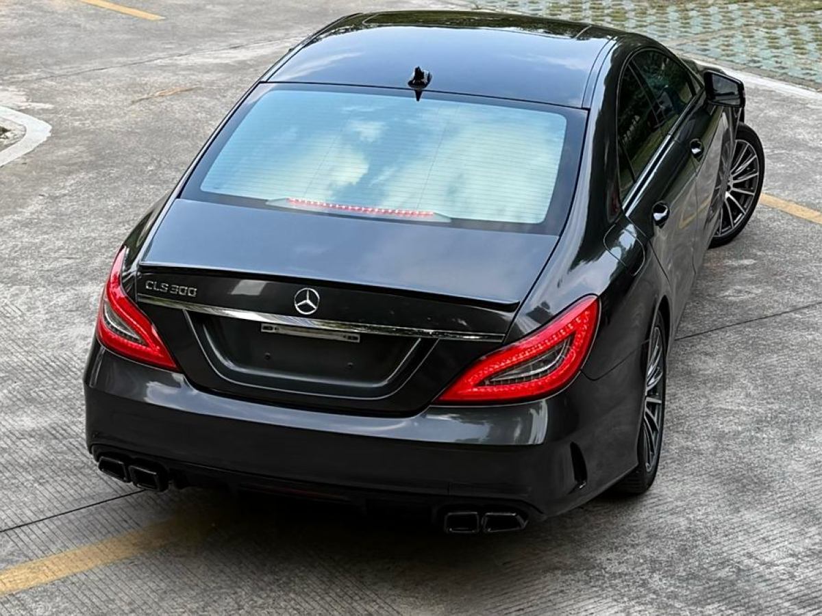 奔馳 奔馳CLS級  2012款 CLS 300 CGI圖片