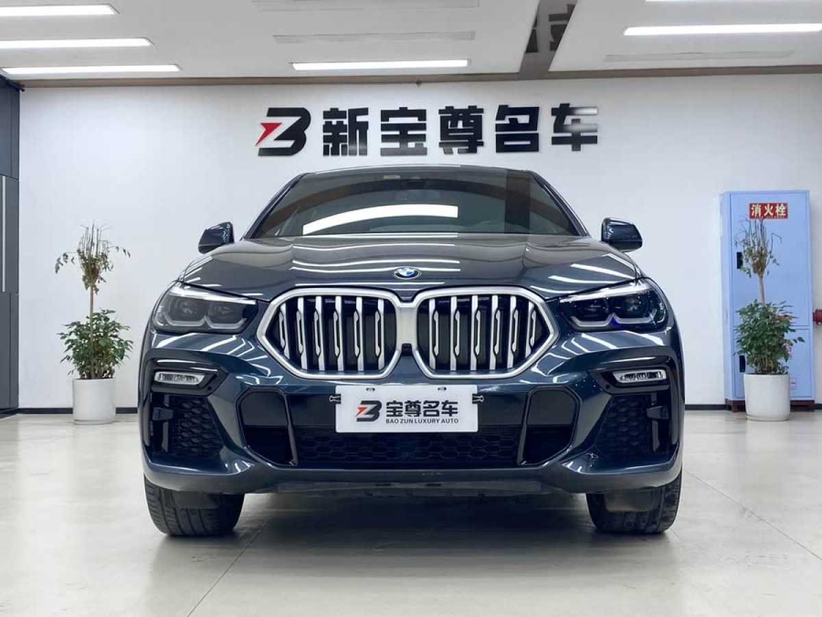 寶馬 寶馬X6  2020款 xDrive30i M運(yùn)動(dòng)套裝圖片