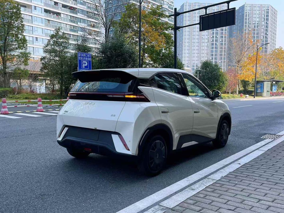 比亞迪 宋L DM-i  2024款 112km 超越型圖片