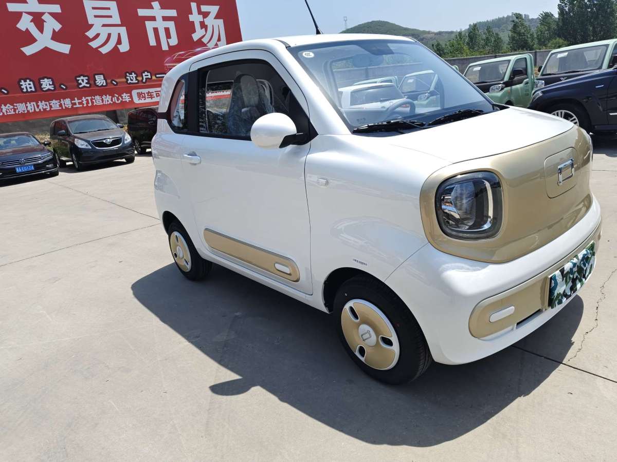 奔騰 奔騰小馬  2025款 222km 閃電馬圖片