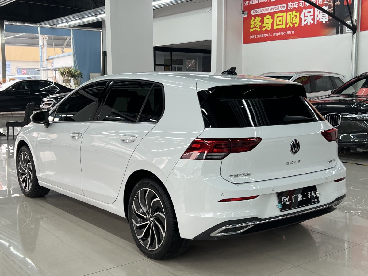 大眾 高爾夫  2021款 280TSI DSG Pro圖片