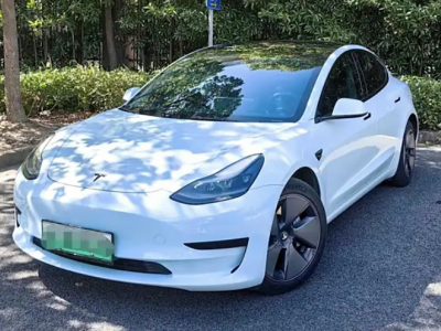 2019年12月 特斯拉 Model 3 标准续航后驱升级版图片