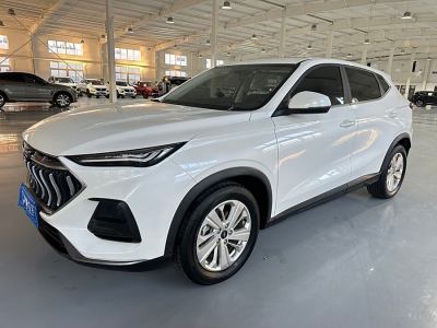 2021年1月 長安歐尚 長安歐尚X5 1.6L CVT尊貴型圖片