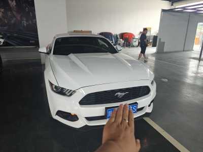 2015年6月 福特 Mustang(进口) 2.3T 性能版图片