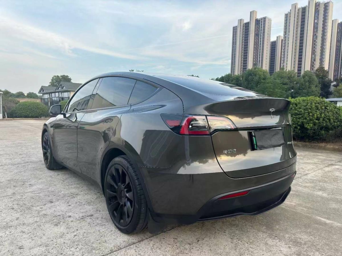 特斯拉 Model 3  2021款 標(biāo)準(zhǔn)續(xù)航后驅(qū)版圖片