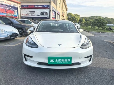 2020年6月 特斯拉 Model 3 標(biāo)準(zhǔn)續(xù)航后驅(qū)升級版圖片