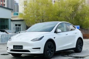 Model Y 特斯拉 后輪驅(qū)動版