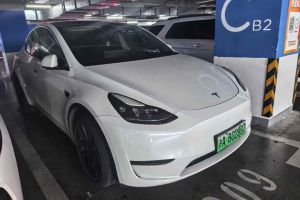 Model S 特斯拉 Performance 高性能版