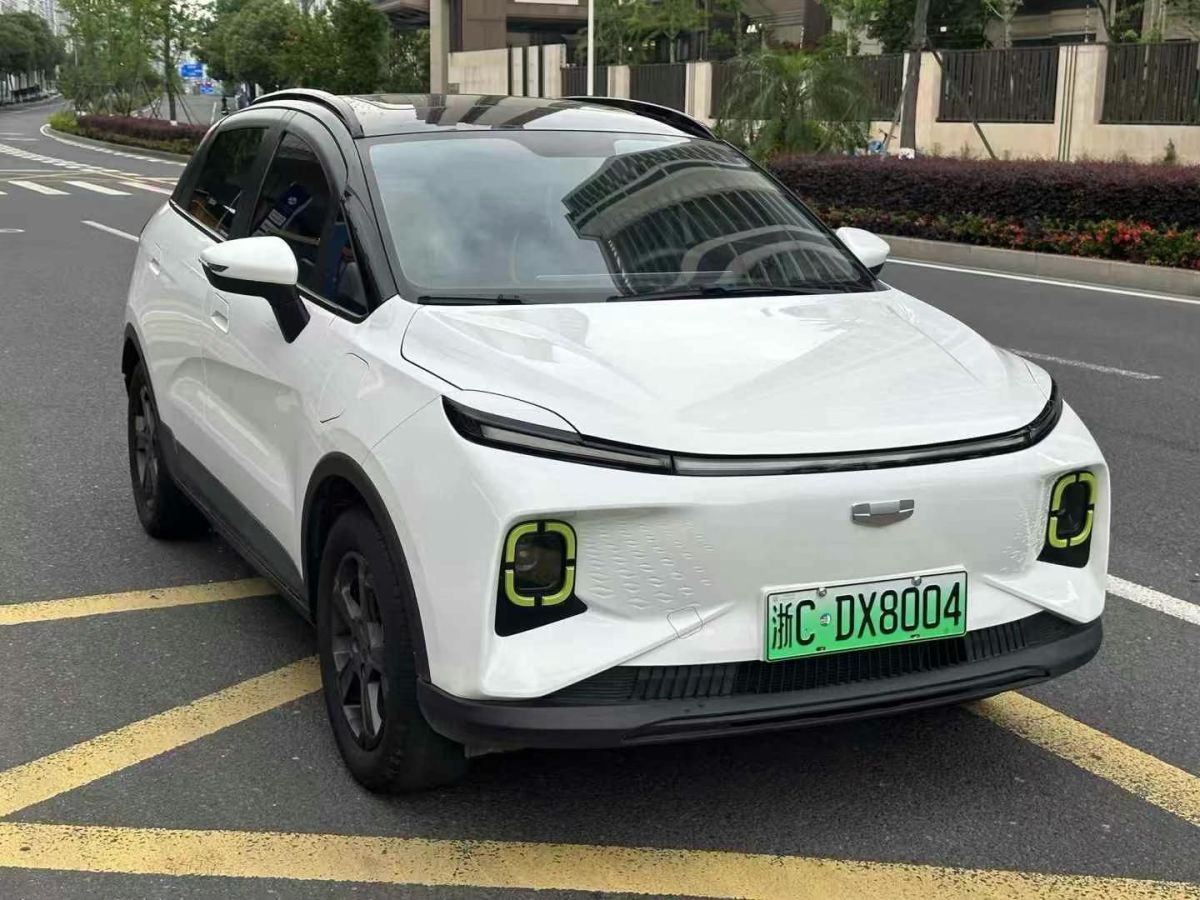 幾何 幾何A  2022款 Pro 430KM 公務(wù)版圖片